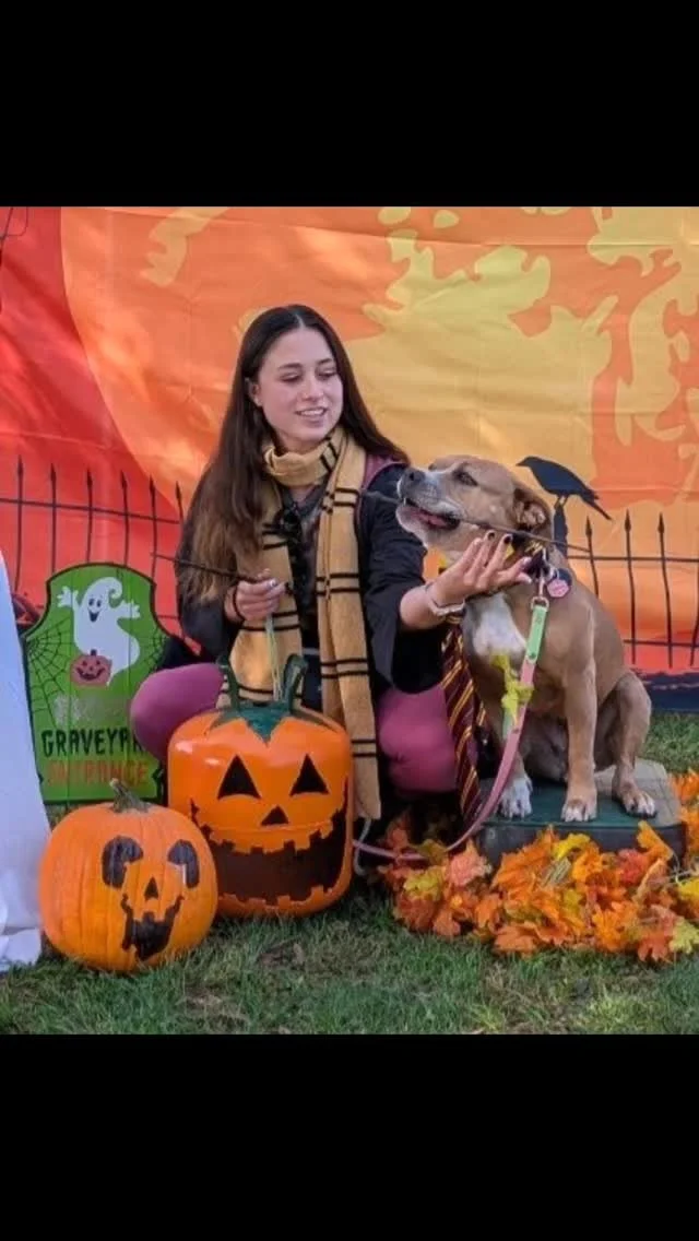 It's Spookytime with our @larpbo pups!