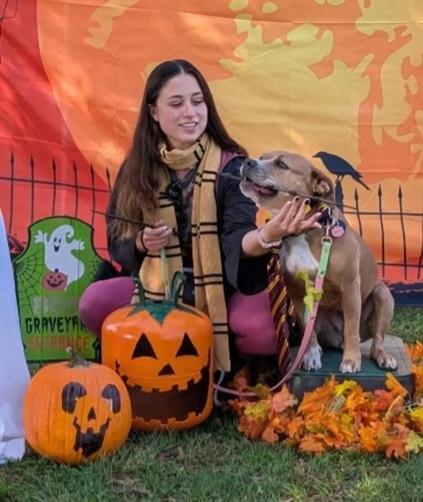Thanks for all our amazing pups and handlers who brought the Halloween spirit to LARPBO today.
We had Harry Potter, Aligators, Dinosaurs, Fashion Icons, and more!
Thanks also to Donna for the great decor 🎃🎃🎃
