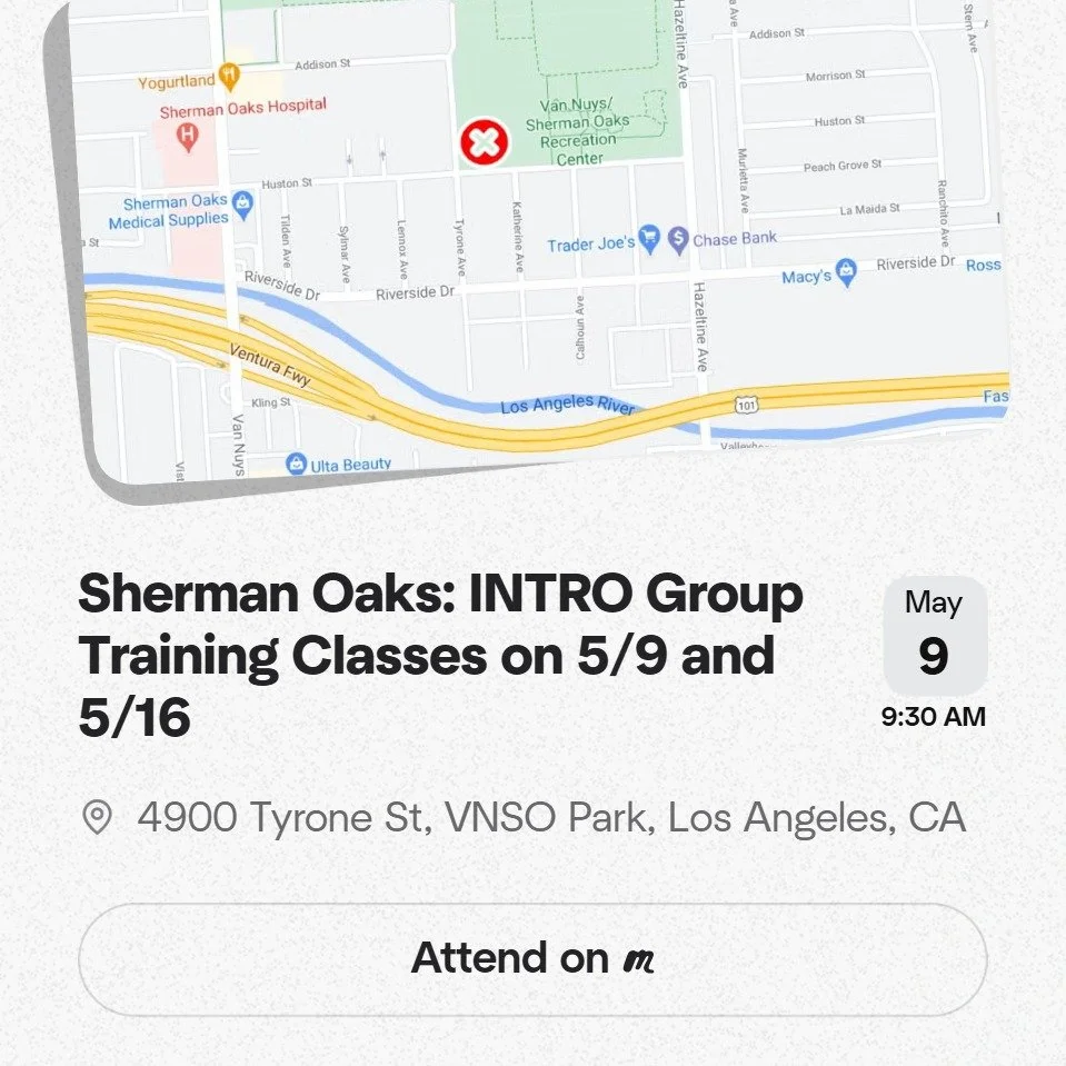 This is a group-oriented class that focuses on the basic fundamentals of obedience: sit, down, come, stay, and place. These skills are required for the AKC Canine Good Citizen (CGC) certification, which we offer year-round.