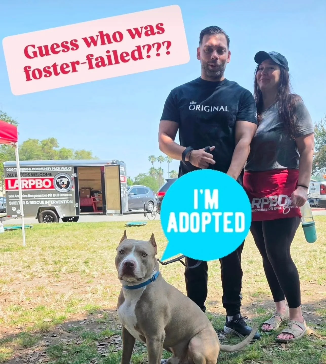 Congratulations Baby and pawrents!!!!
Baby was officially foster-failed and has found her forever family!!!

We love our pack!