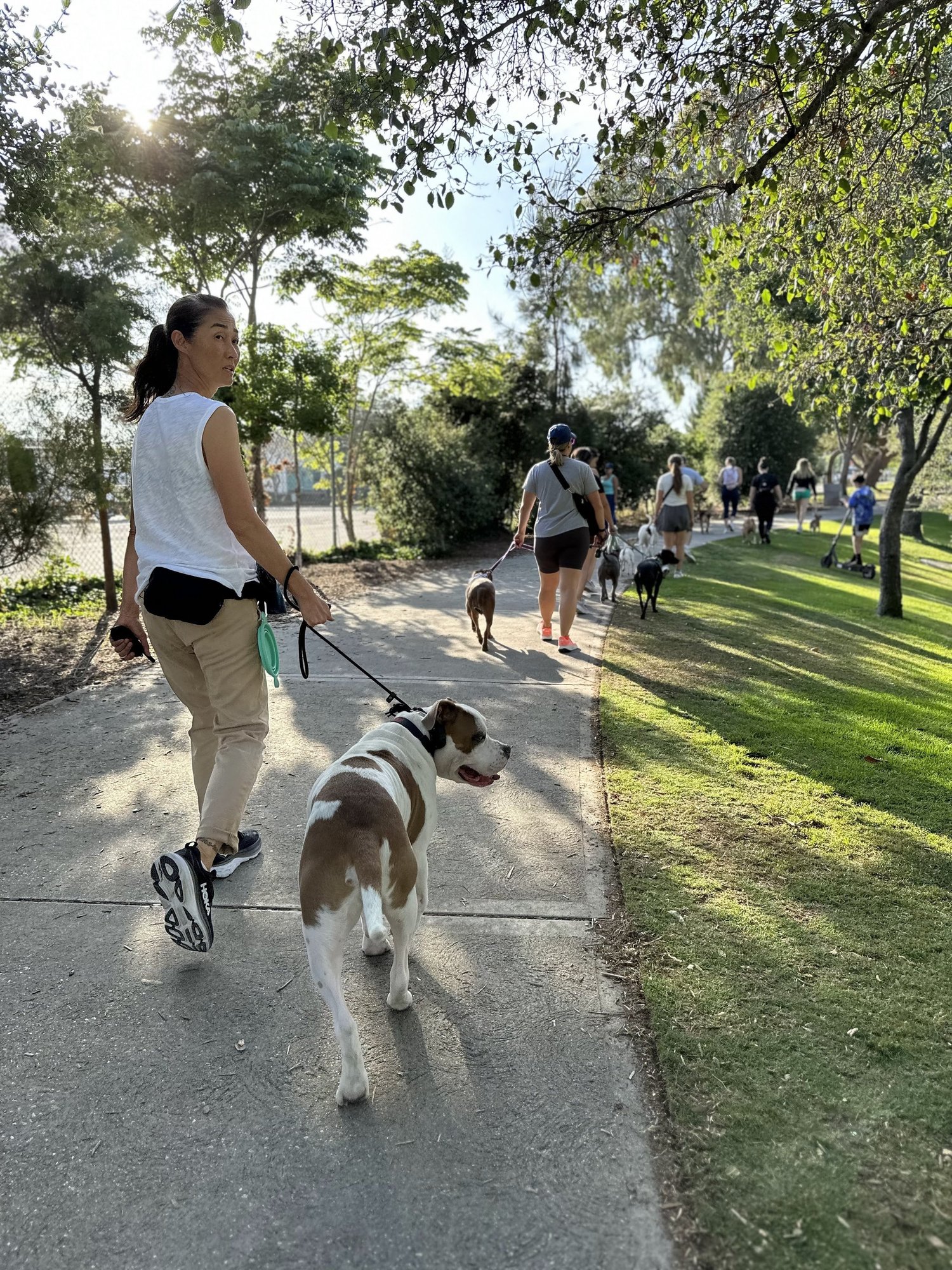 group-training-classes-for-dogs-at-larpbo-contact-us