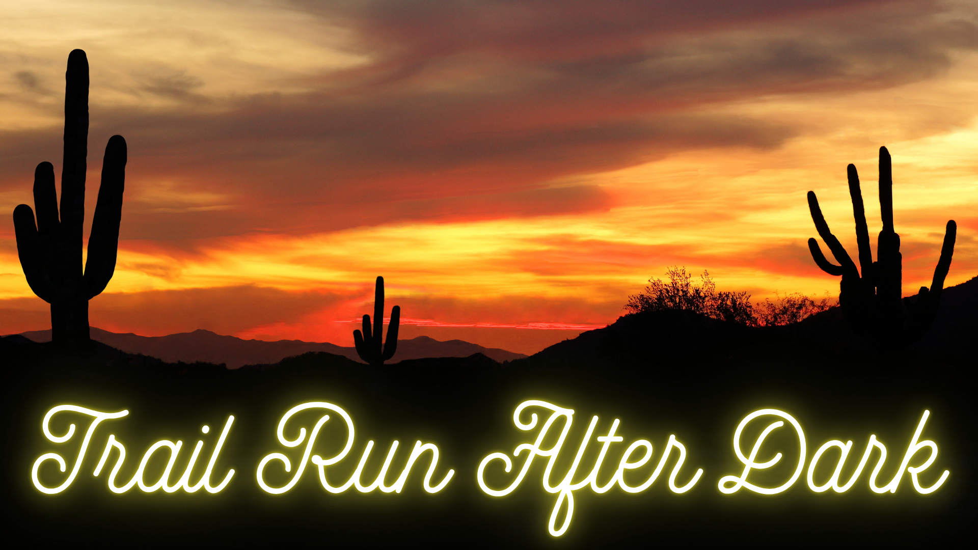 After-Dark Trail Run @ South Mountain