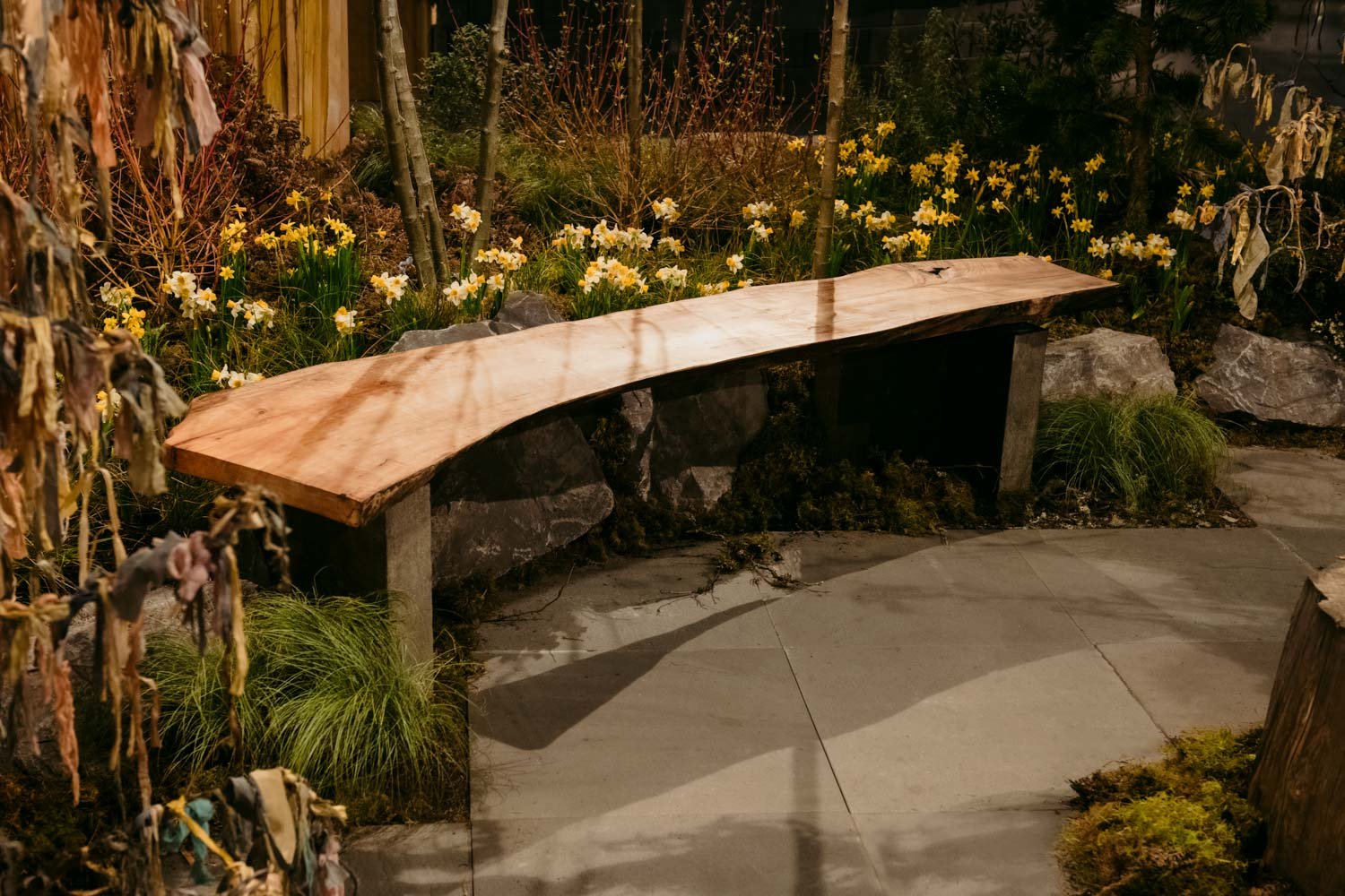 2026 NWFGS - Lacewing - Caroline Walker Evans - 98.jpg