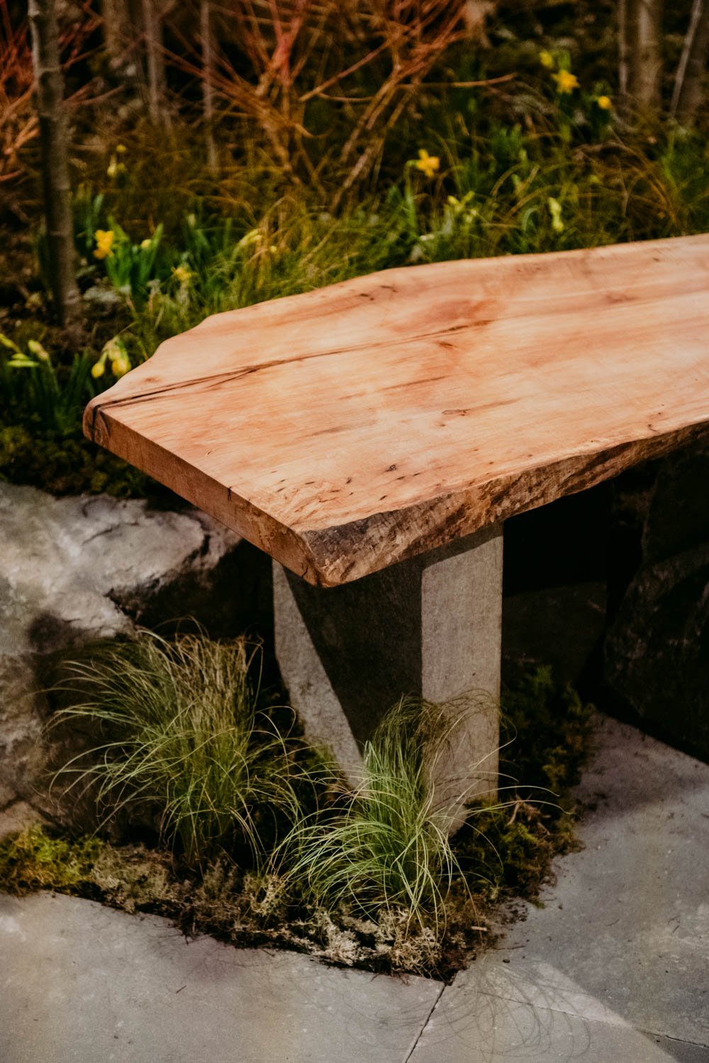 2026 NWFGS - Lacewing - Caroline Walker Evans - 54.jpg