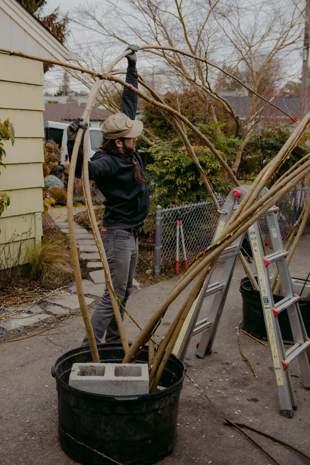 2026 NWFGS - Lacewing - Caroline Walker Evans - 1.jpg