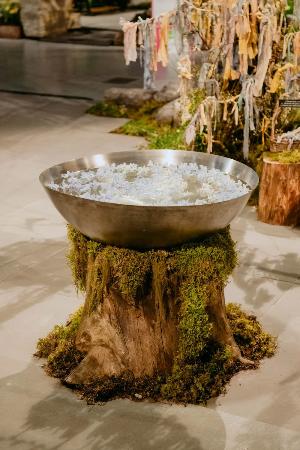 2026 NWFGS - Lacewing - Caroline Walker Evans - 80.jpg