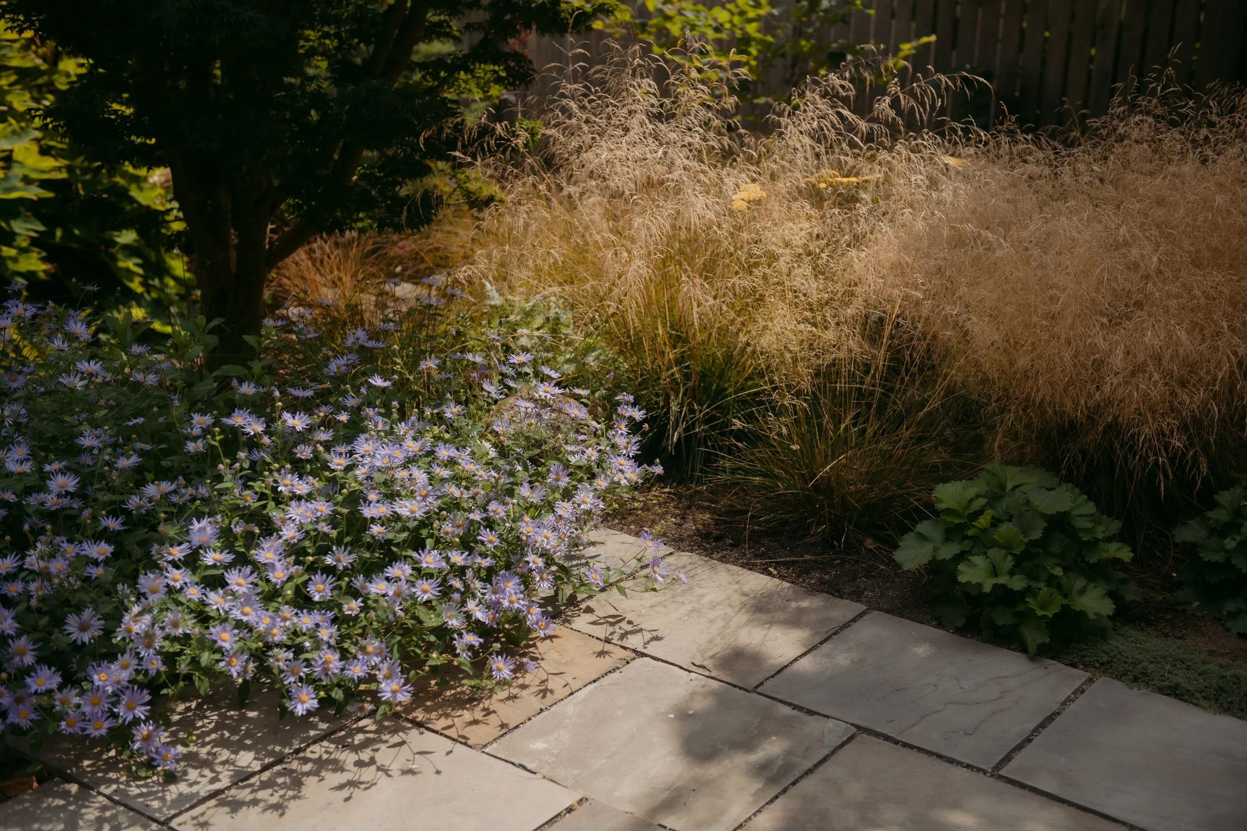 Schwartz-Casso Home - 2025 - September - 08 - 9.jpg