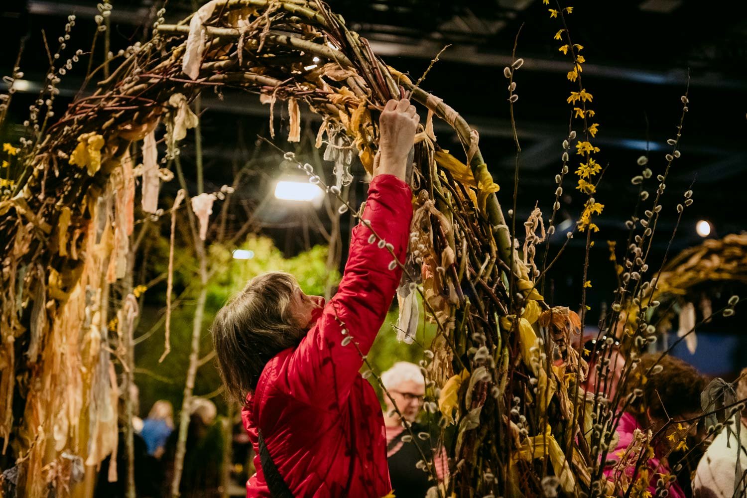 2026 NWFGS - Lacewing - Caroline Walker Evans - 58.jpg