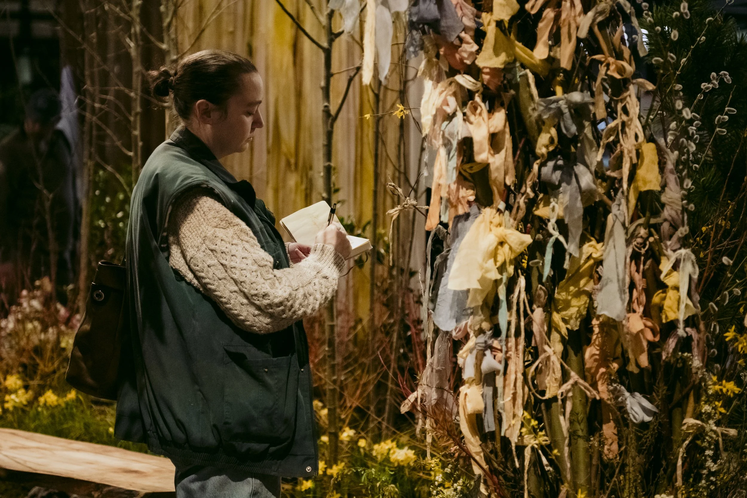 2026 NWFGS - SHOW - LOW RES - CAROLINE WALKER EVANS - LACEWING - 22.jpg