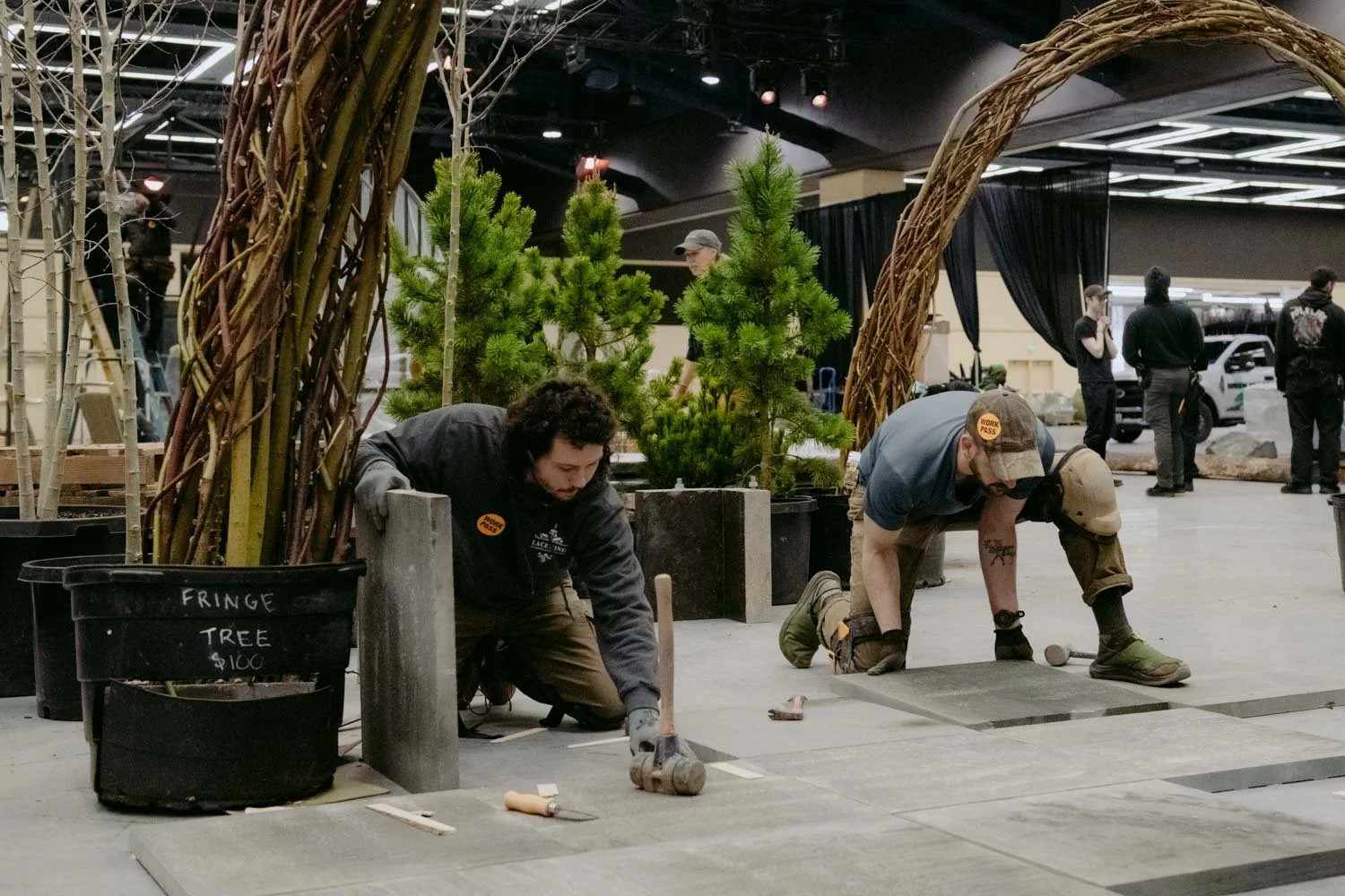 2026 NWFGS - Lacewing - Caroline Walker Evans - 29.jpg