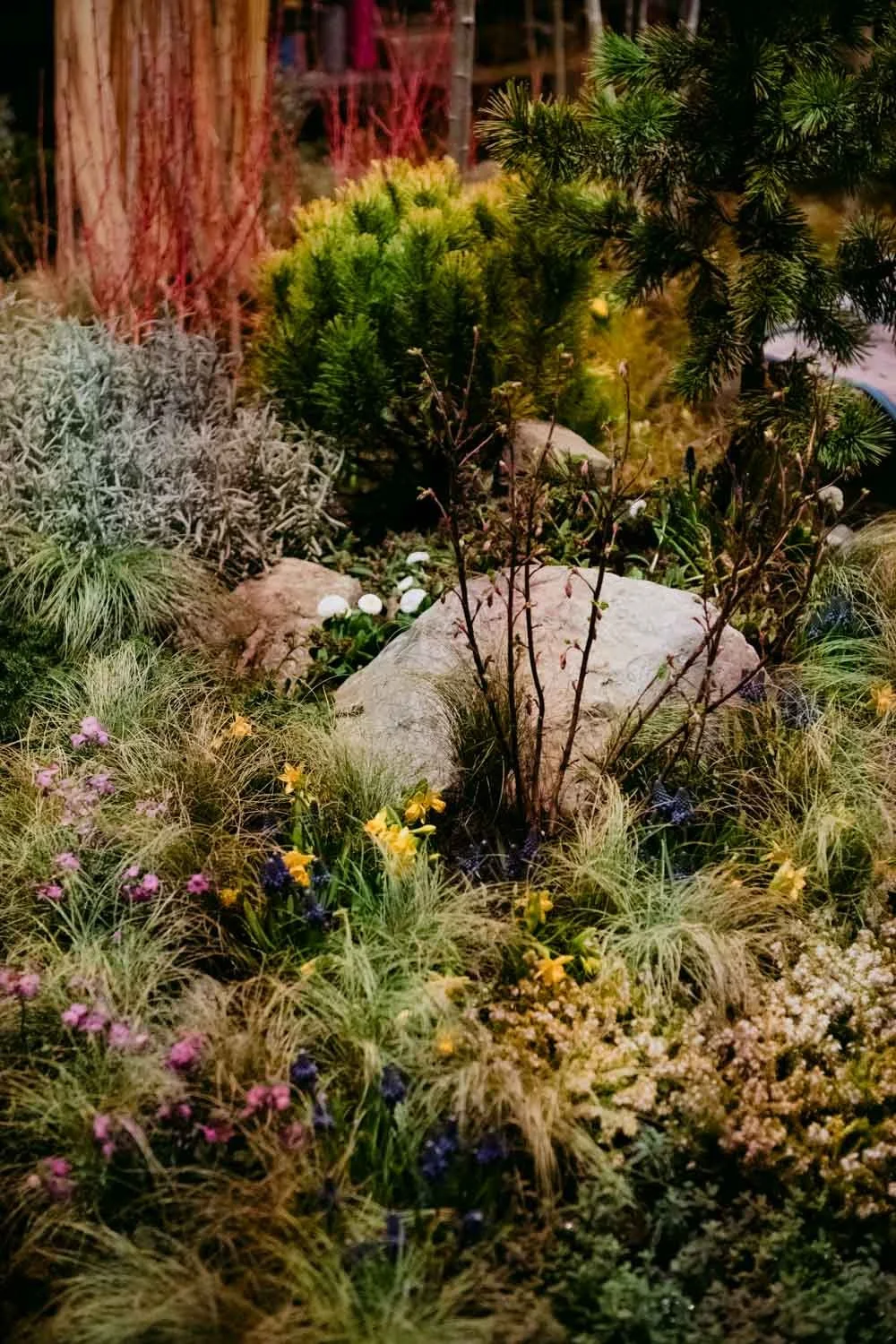 2026 NWFGS - Lacewing - Caroline Walker Evans - 47.jpg