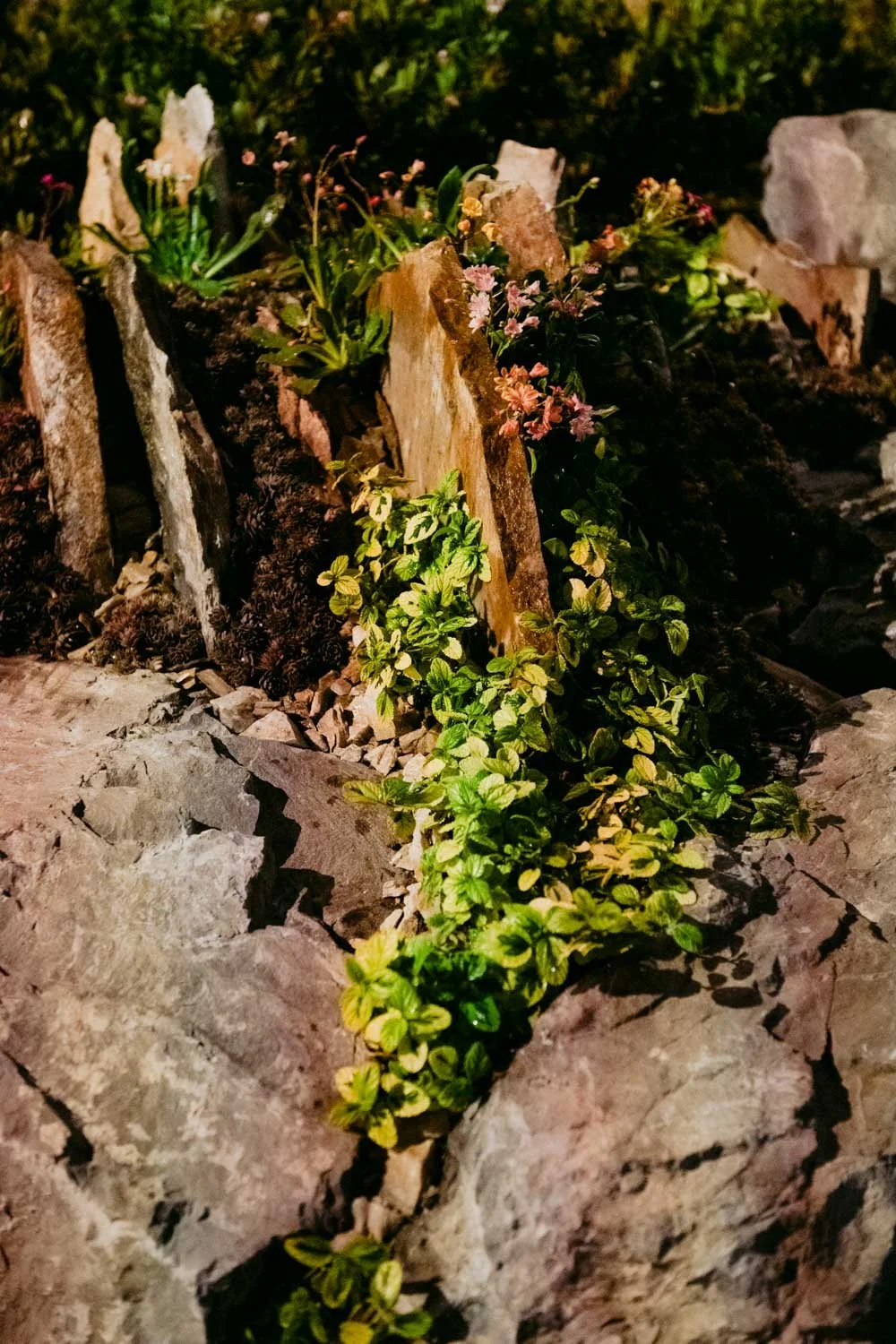 2026 NWFGS - Lacewing - Caroline Walker Evans - 48.jpg