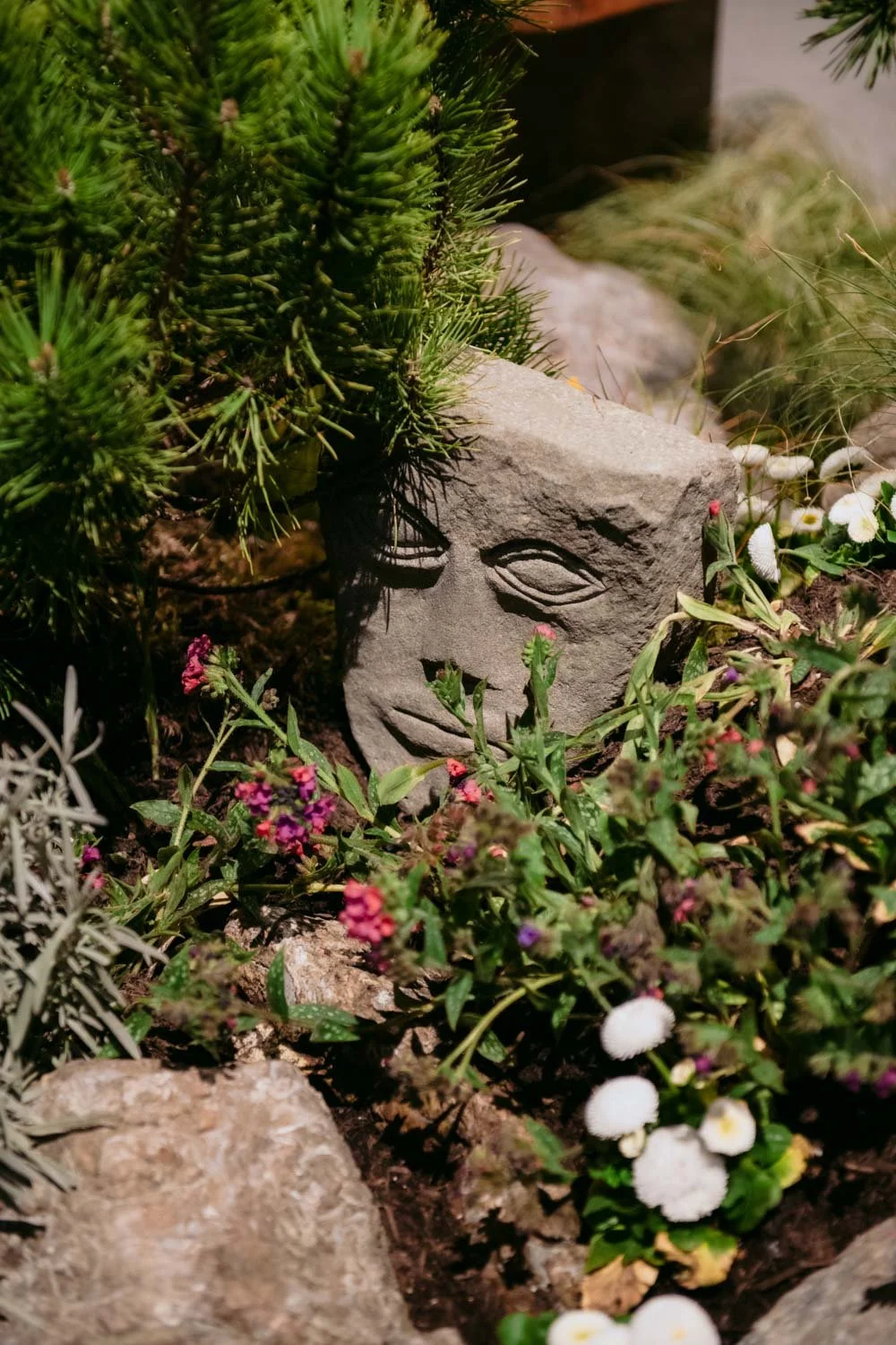 2026 NWFGS - Lacewing - Caroline Walker Evans - 95.jpg