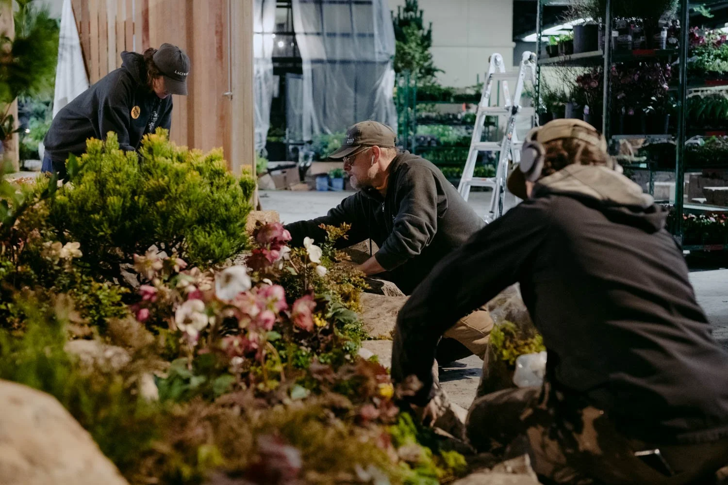 2026 NWFGS - Lacewing - Caroline Walker Evans - 40.jpg