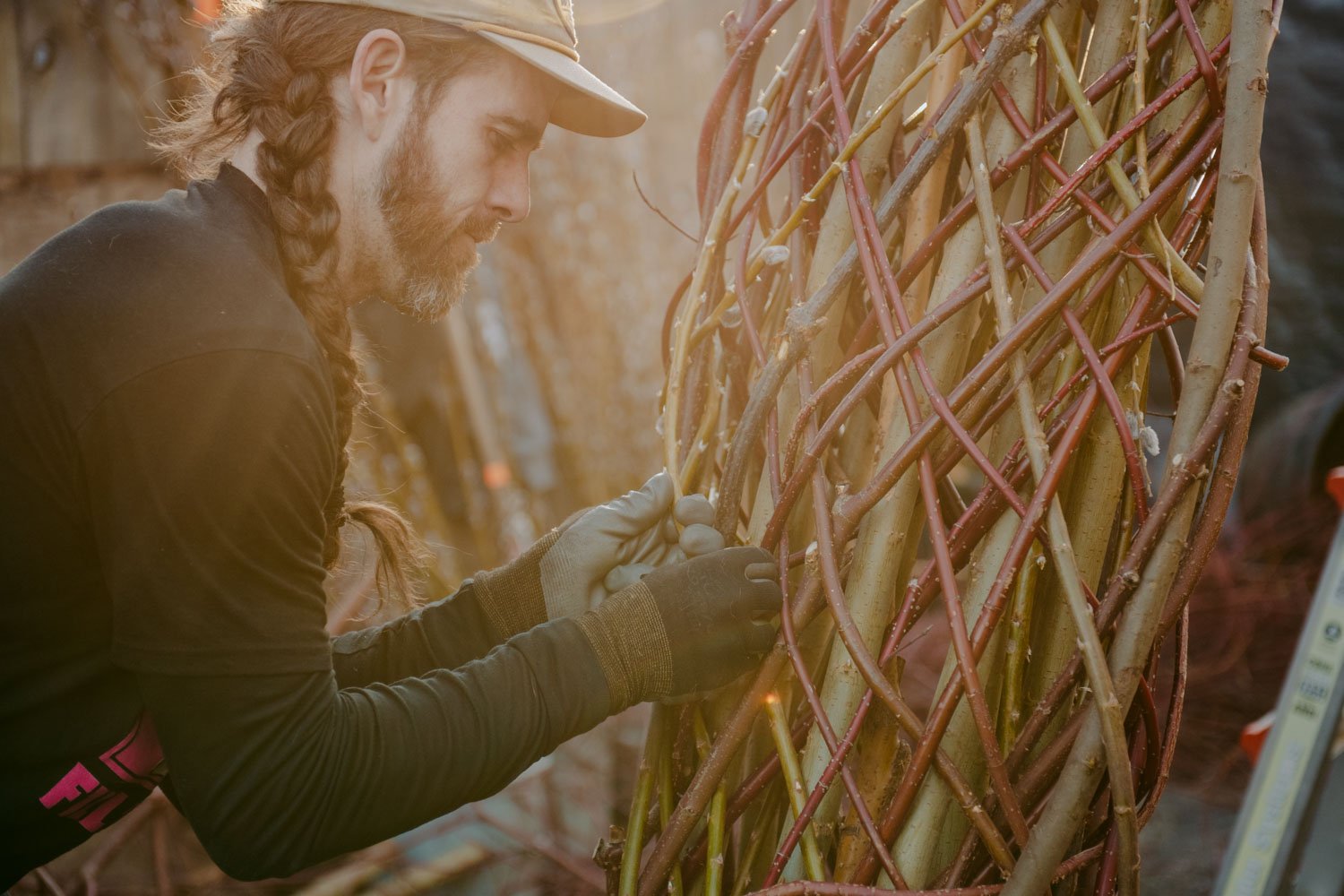 2026 NWFGS - Lacewing - Caroline Walker Evans - 10.jpg