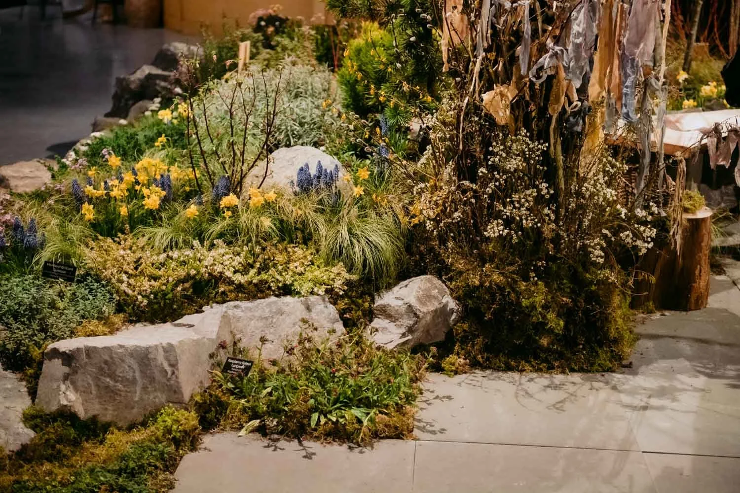 2026 NWFGS - Lacewing - Caroline Walker Evans - 71.jpg