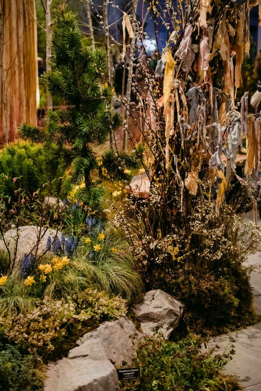 2026 NWFGS - Lacewing - Caroline Walker Evans - 68.jpg