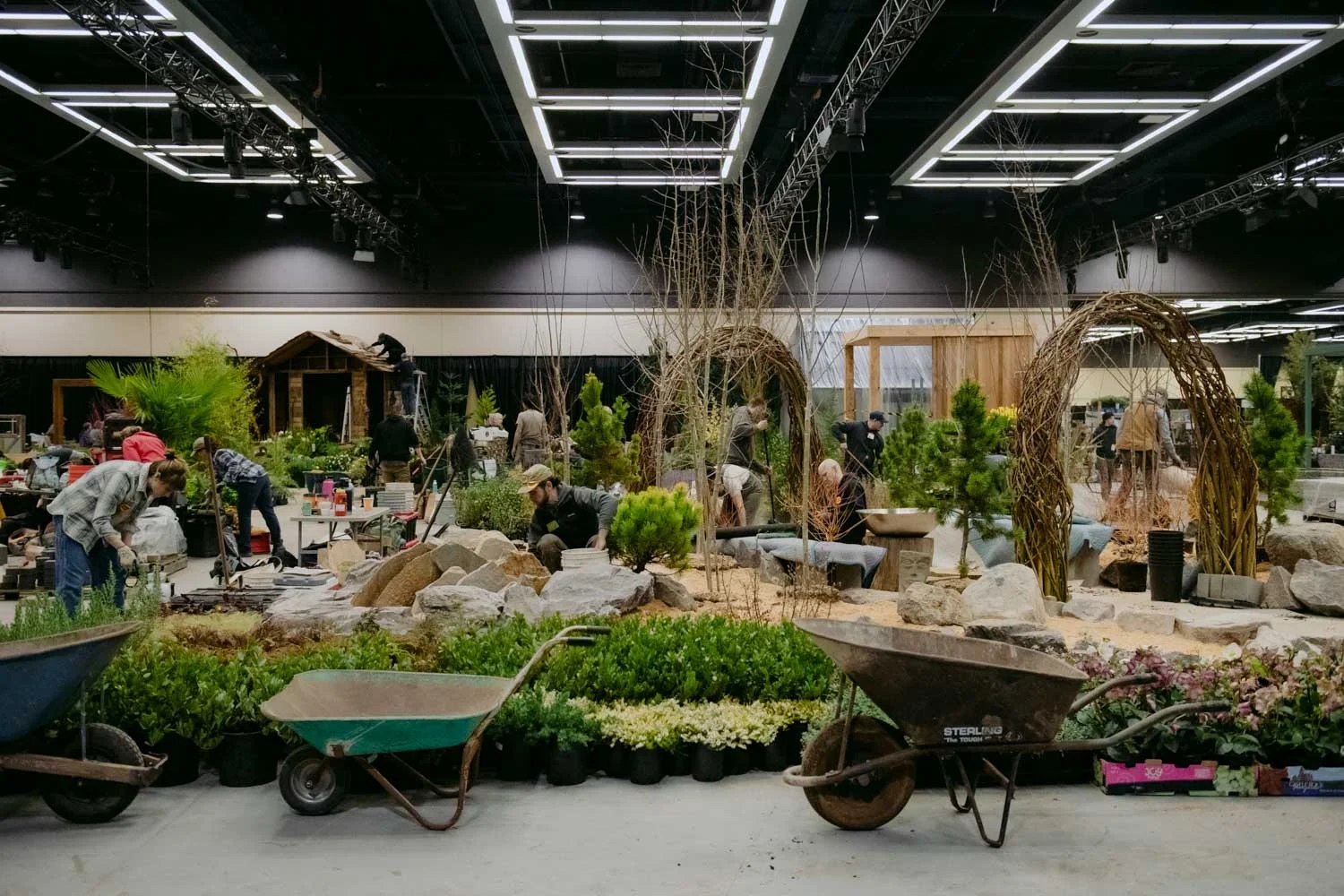 2026 NWFGS - Lacewing - Caroline Walker Evans - 32.jpg