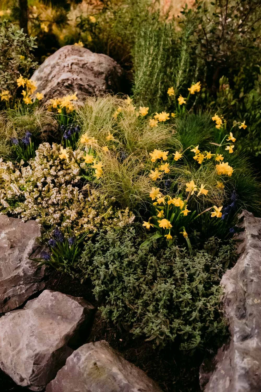 2026 NWFGS - Lacewing - Caroline Walker Evans - 51.jpg