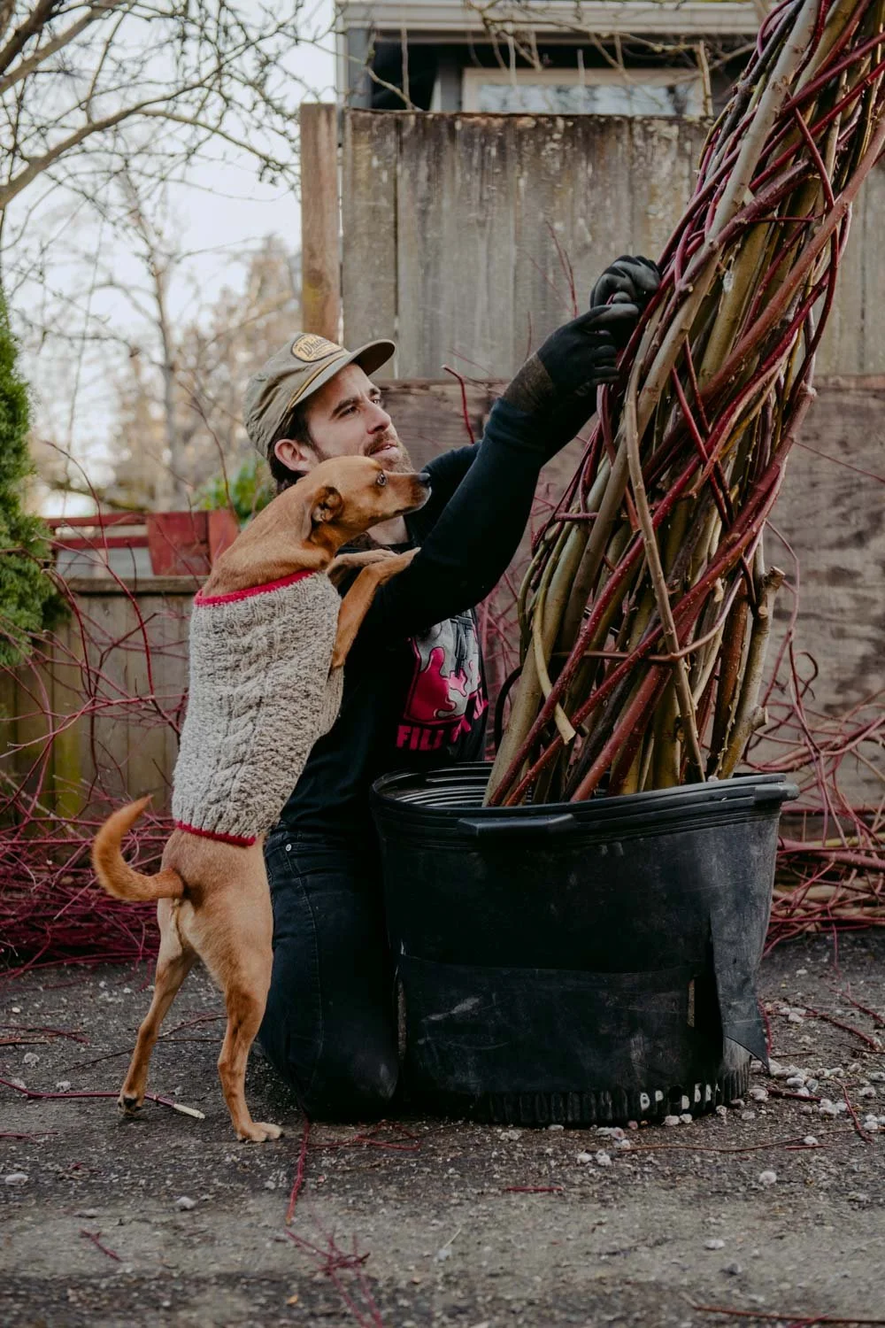 2026 NWFGS - Lacewing - Caroline Walker Evans - 11.jpg