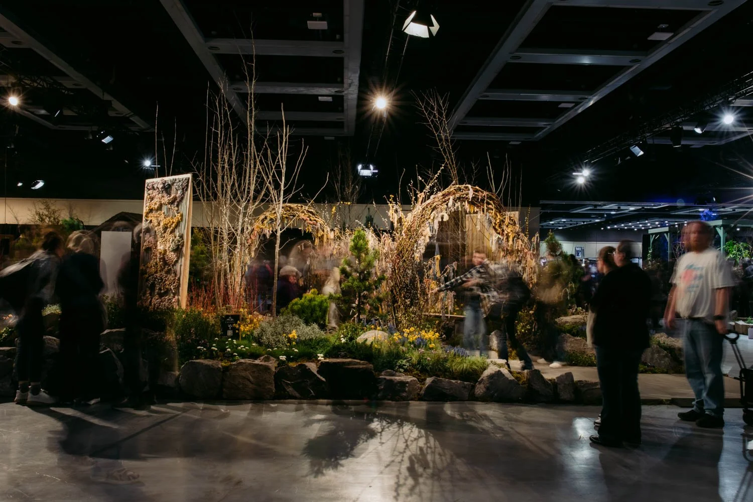 2026 NWFGS - Lacewing - Caroline Walker Evans - 89.jpg