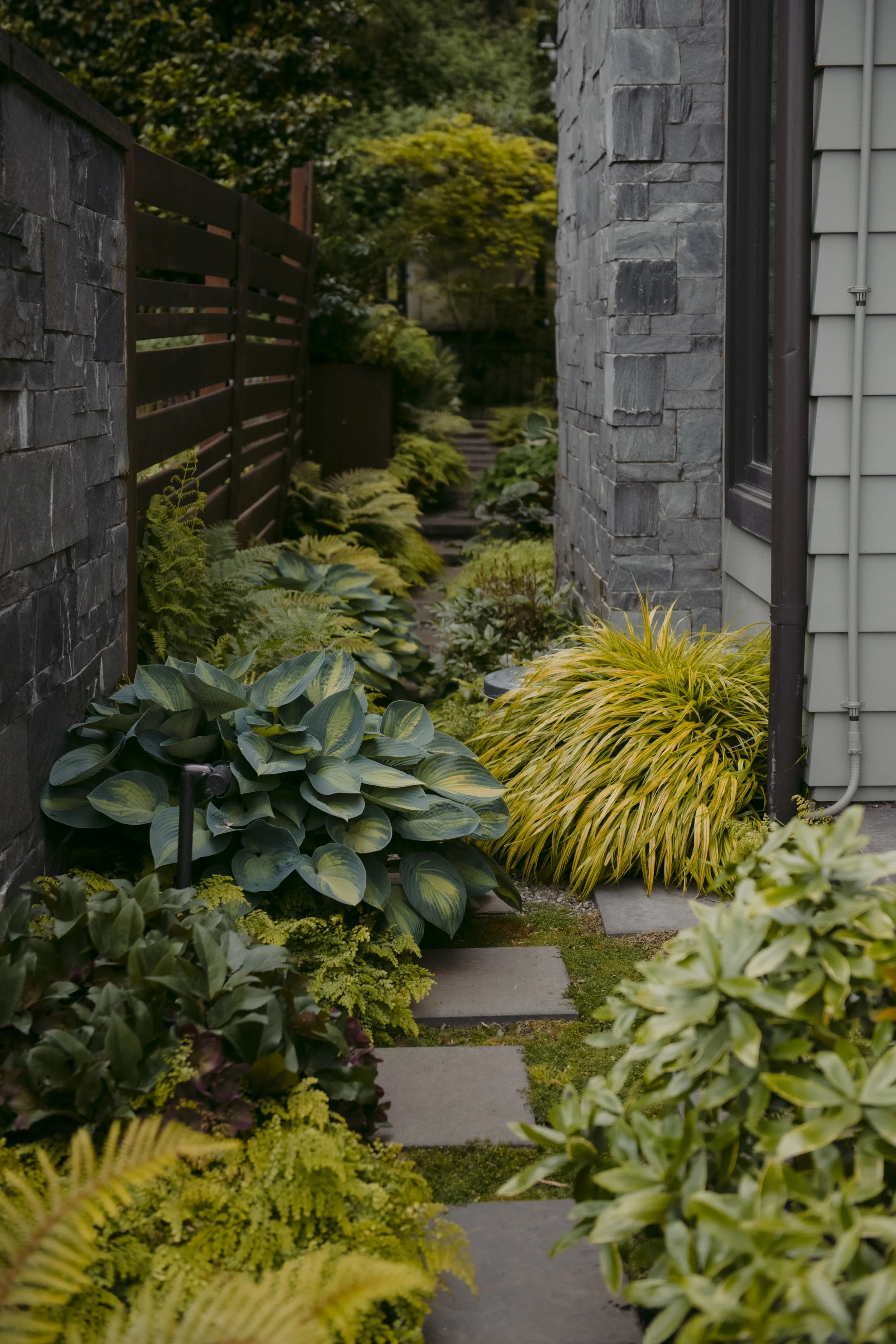 Taylor Home - 2025 - May - 16 17.jpg