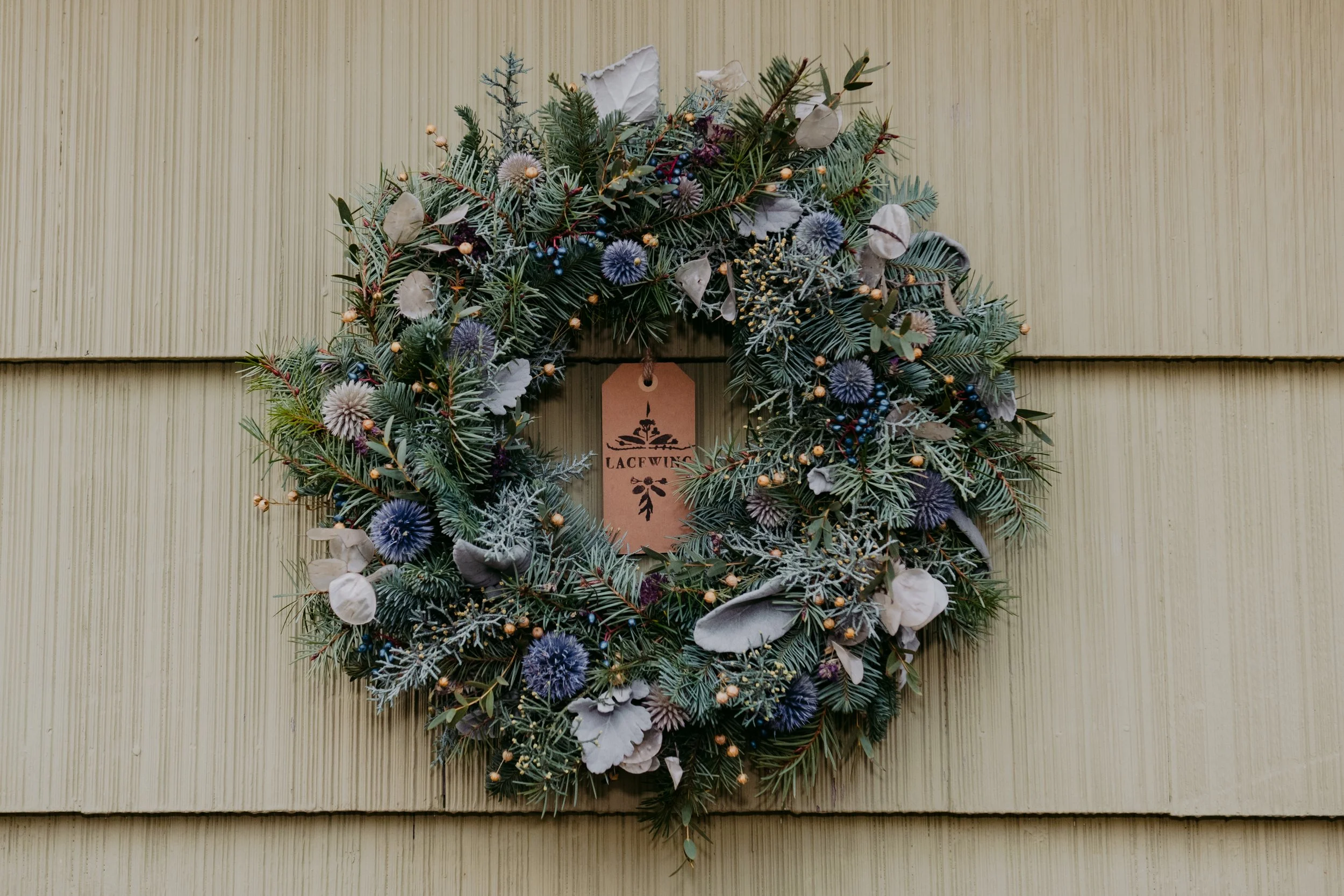 2025 Wreaths - Lacewing - Caroline Walker Evans - 13.jpg