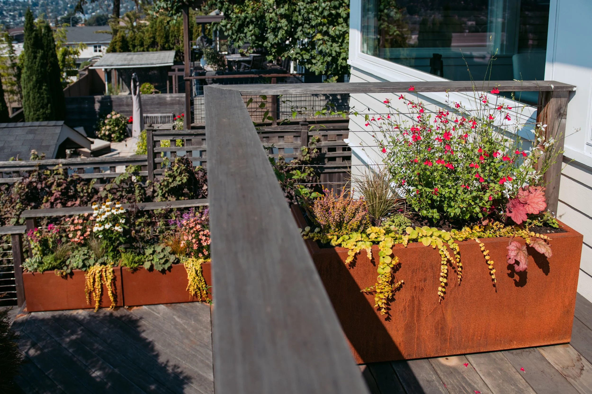 Anderson Home - planters - Lacewing - Caroline Walker Evans - 2025 - August - 28 - 7.jpg