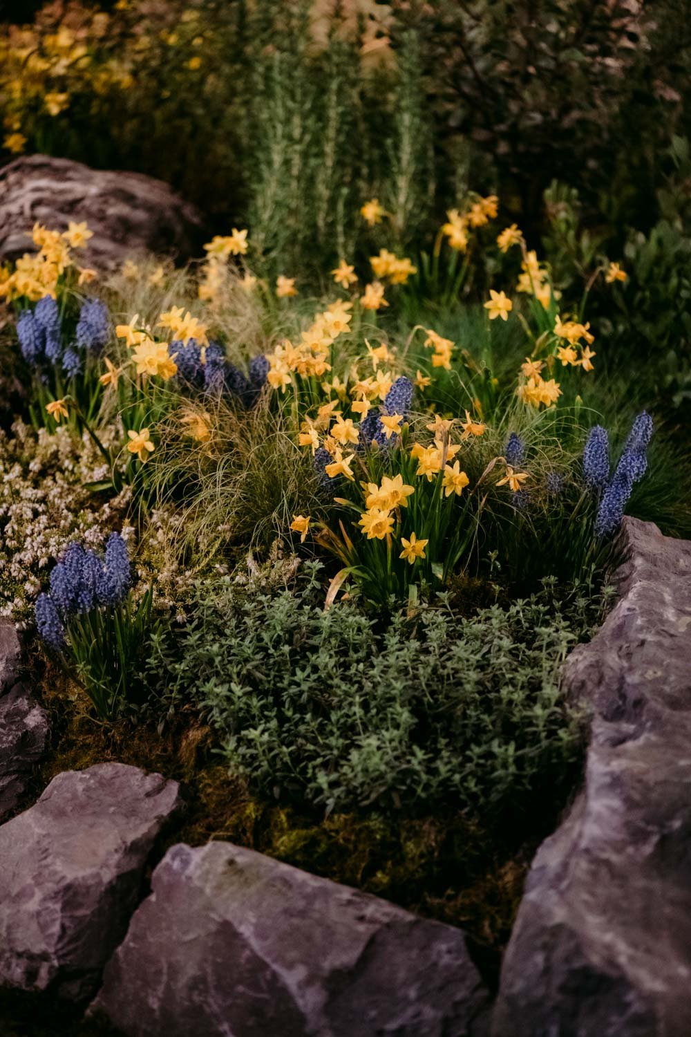 2026 NWFGS - Lacewing - Caroline Walker Evans - 92.jpg
