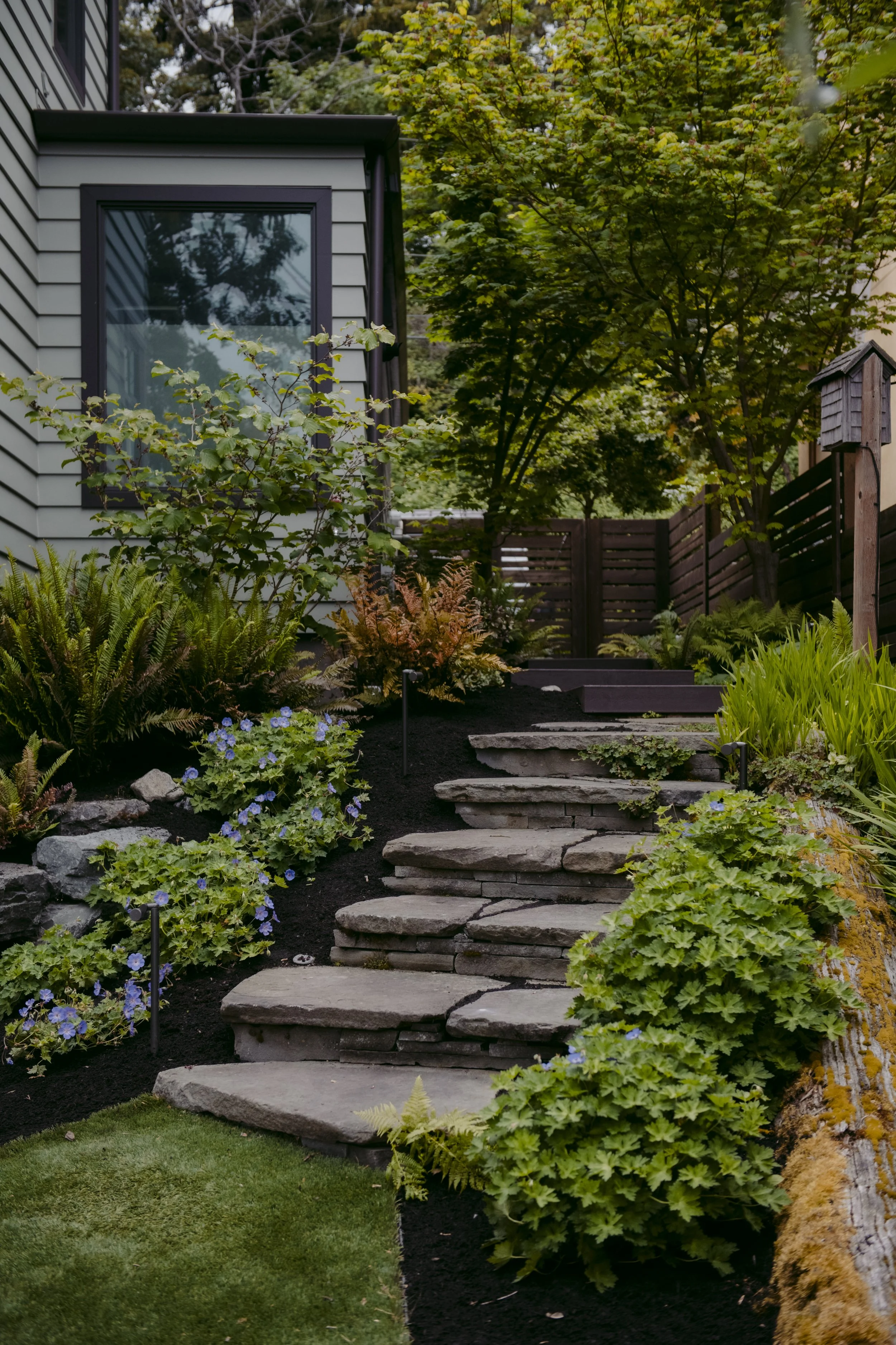 Taylor Home - 2025 - May - 16 4.jpg