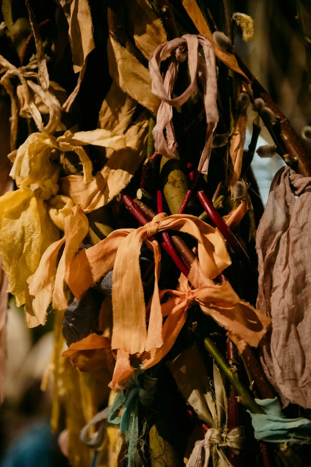 2026 NWFGS - Lacewing - Caroline Walker Evans - 59.jpg