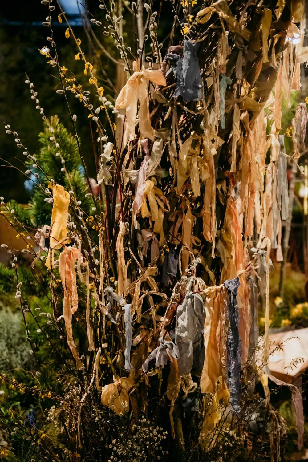 2026 NWFGS - Lacewing - Caroline Walker Evans - 56.jpg