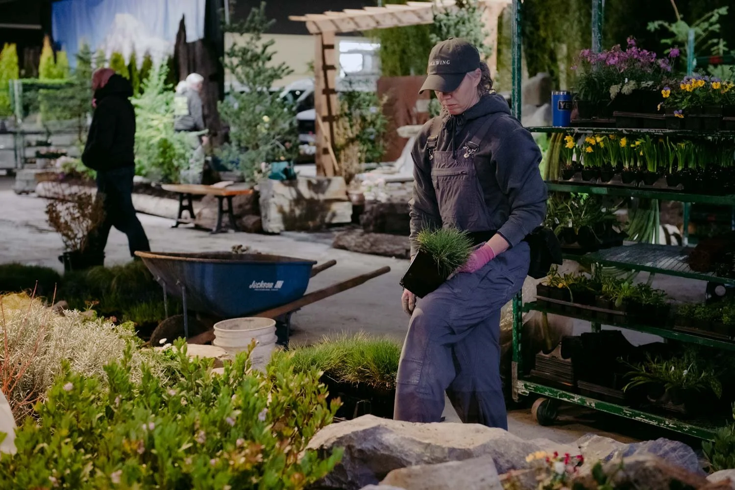 2026 NWFGS - Lacewing - Caroline Walker Evans - 37.jpg