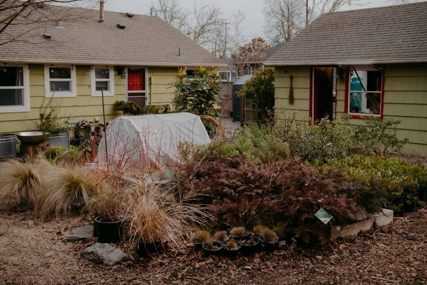 2026 NWFGS - Process - Lacewing Fine Gardening - Caroline Walker Evans - 3.jpg