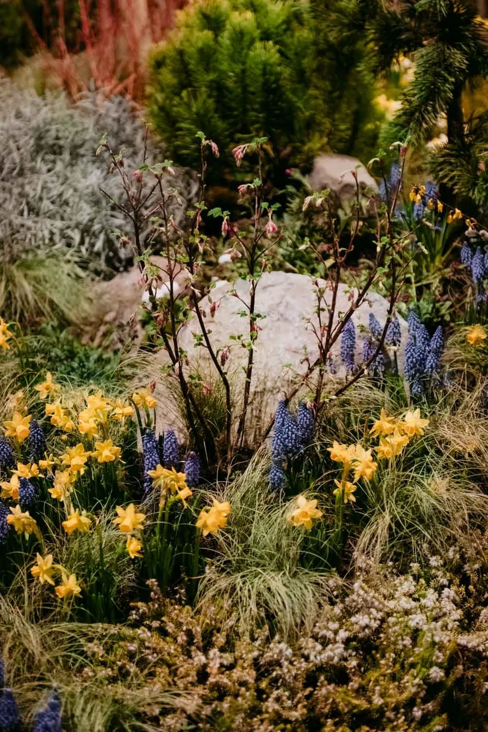 2026 NWFGS - Lacewing - Caroline Walker Evans - 69.jpg