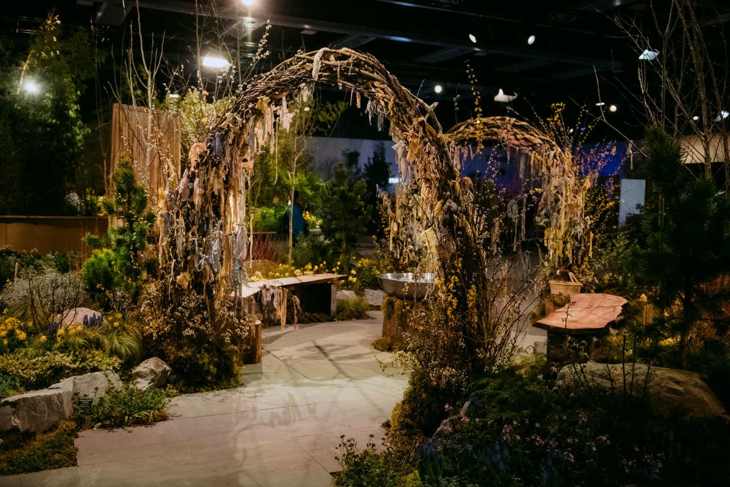 2026 NWFGS - Lacewing - Caroline Walker Evans - 72.jpg