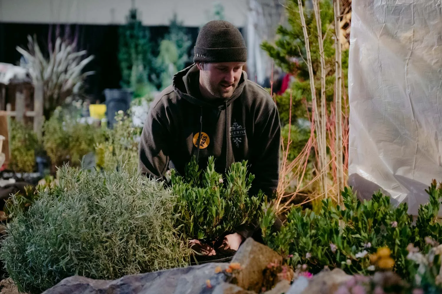 2026 NWFGS - Lacewing - Caroline Walker Evans - 39.jpg