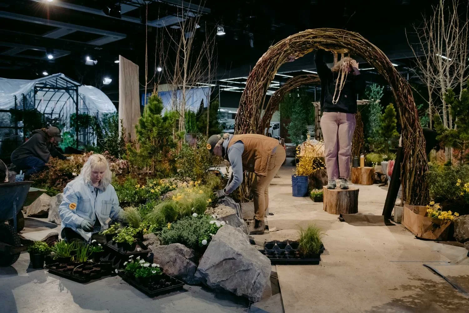 2026 NWFGS - Lacewing - Caroline Walker Evans - 44.jpg