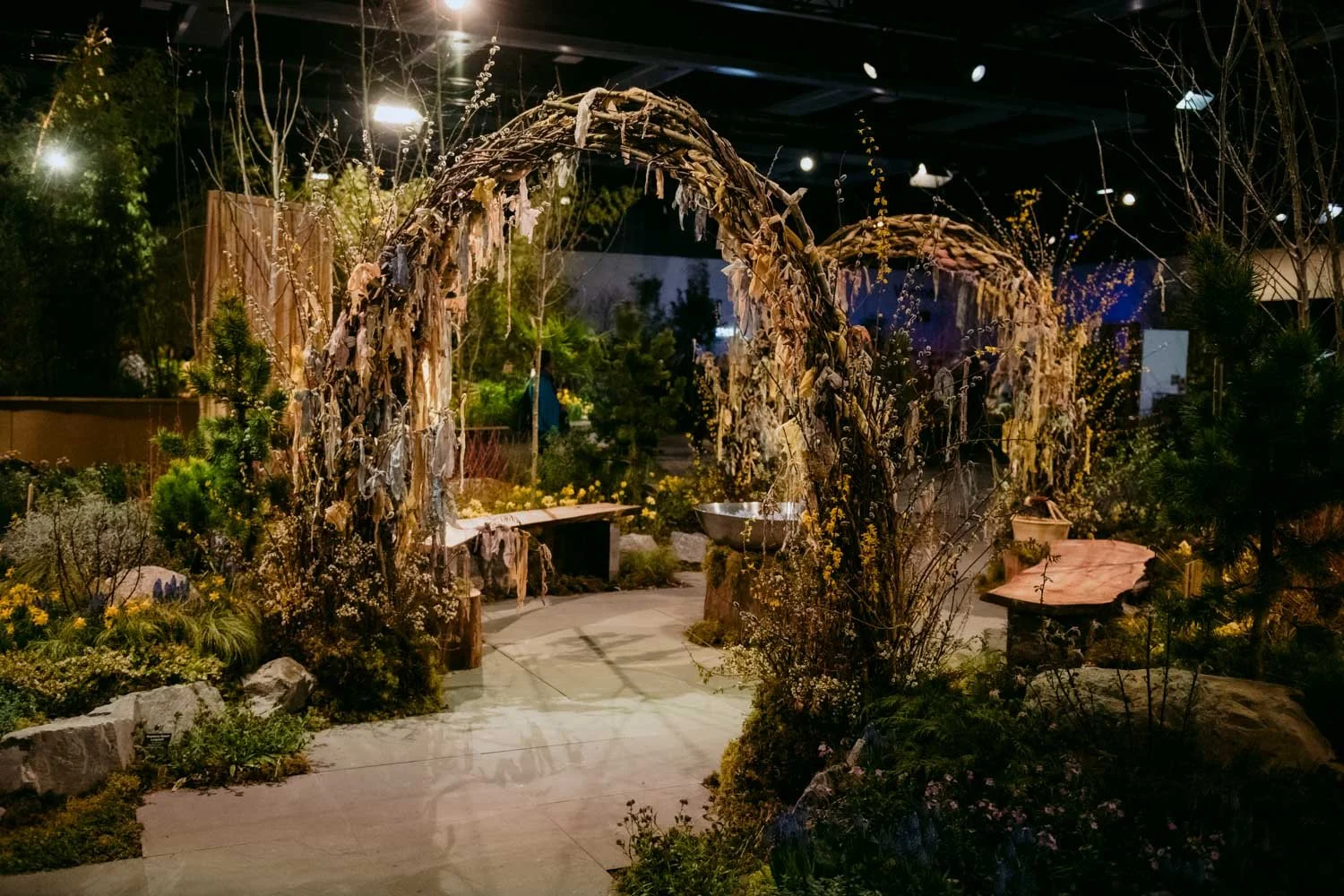 2026 NWFGS - Lacewing - Caroline Walker Evans - 72.jpg