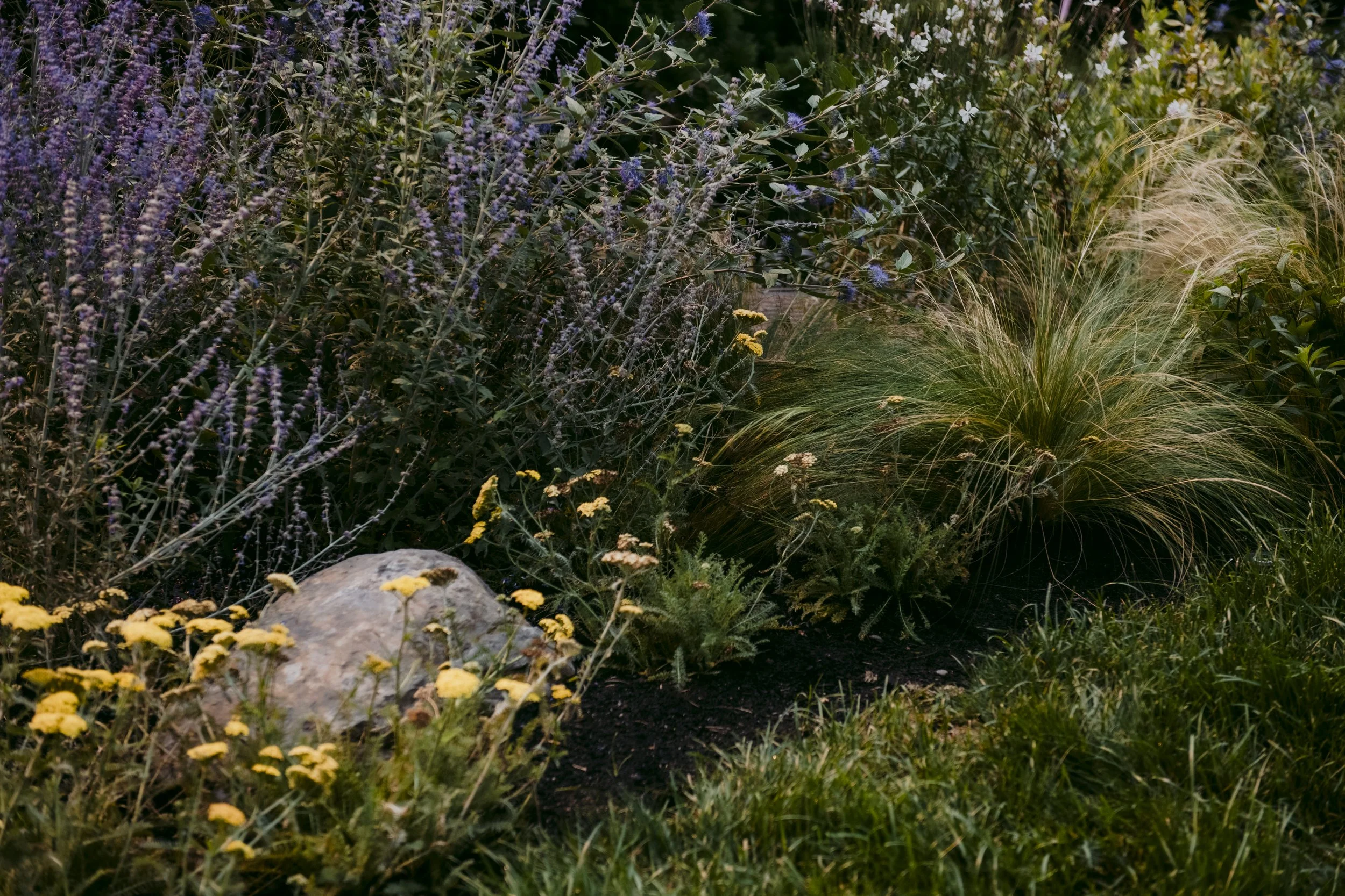 Lubner - 2025 - September - 04 - 13.jpg
