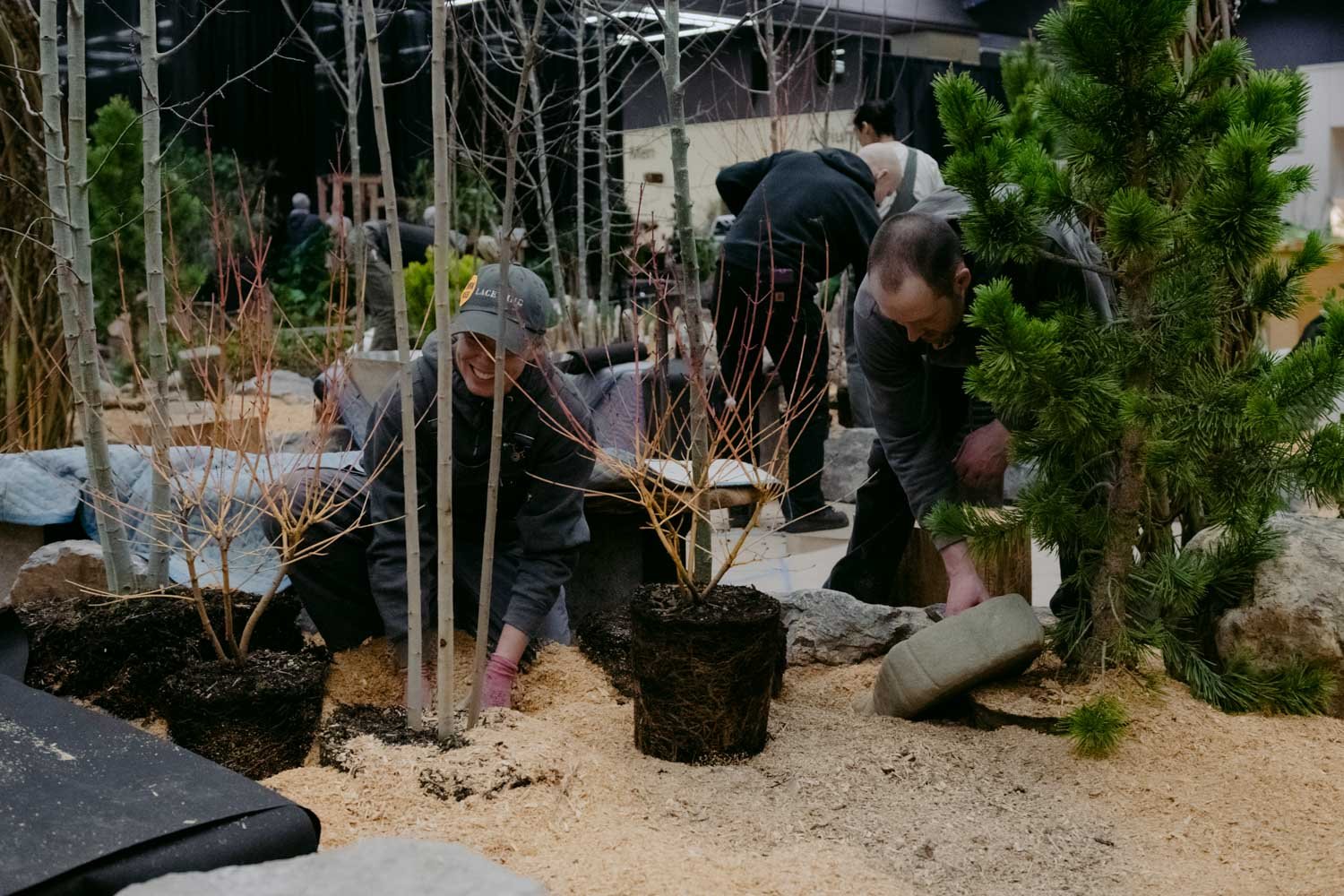 2026 NWFGS - Lacewing - Caroline Walker Evans - 35.jpg