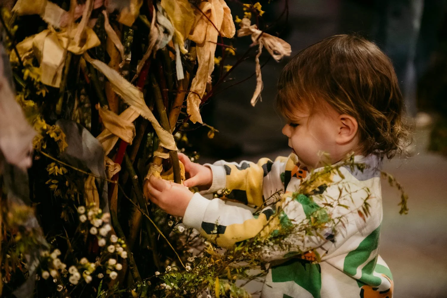 2026 NWFGS - Lacewing - Caroline Walker Evans - 73.jpg