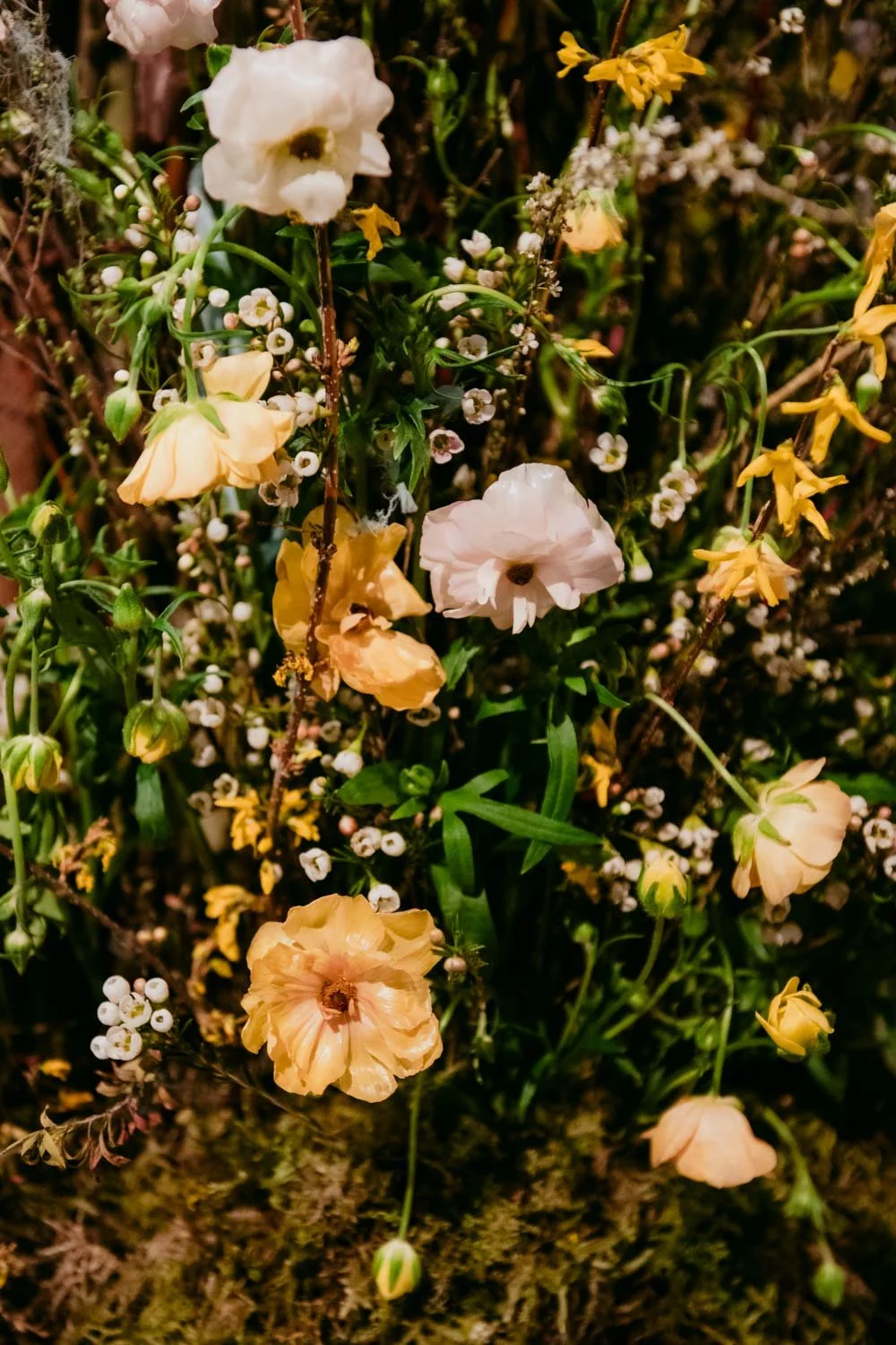 2026 NWFGS - Lacewing - Caroline Walker Evans - 84.jpg