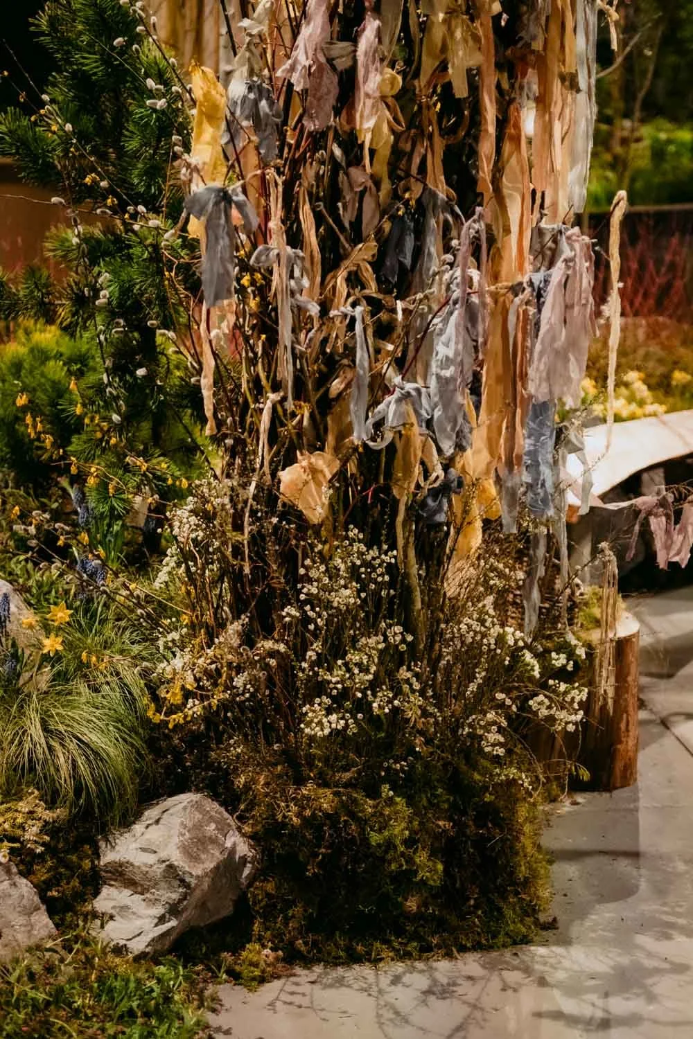 2026 NWFGS - Lacewing - Caroline Walker Evans - 70.jpg