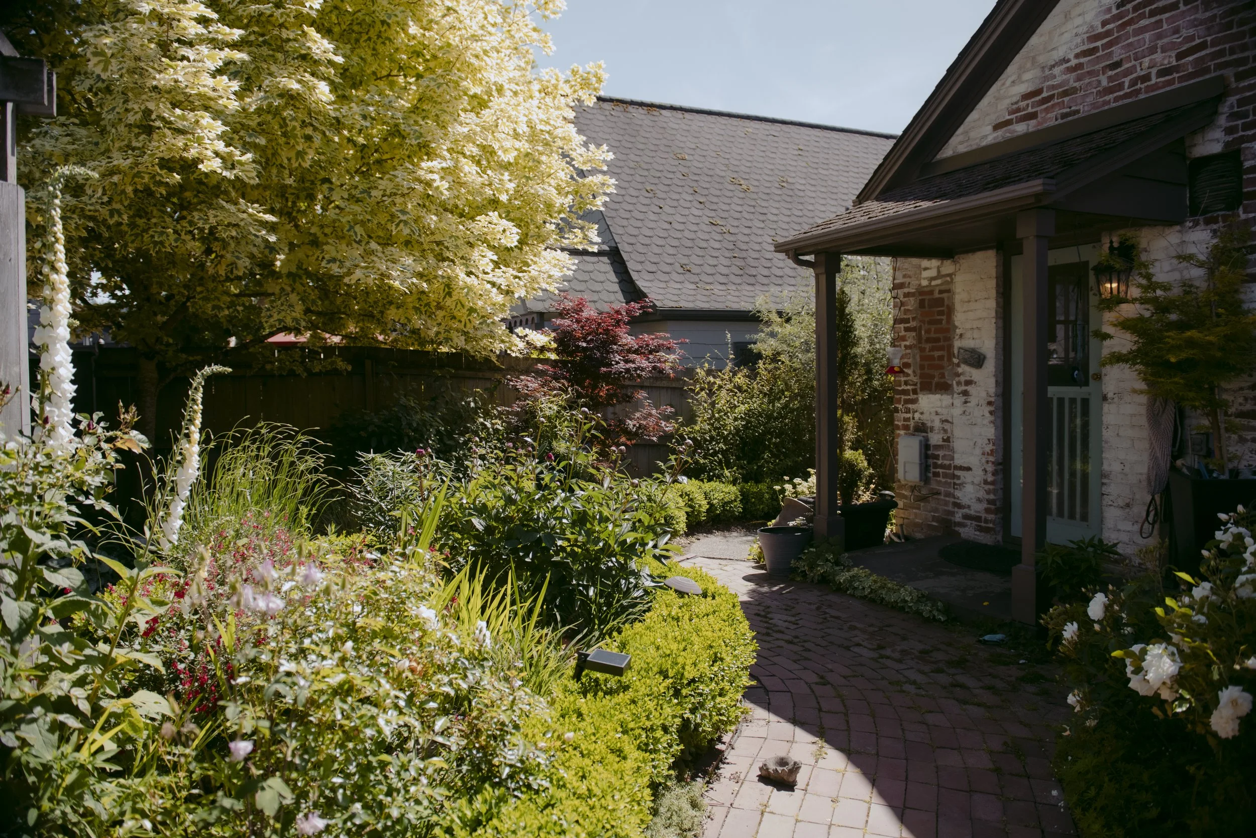 Rita Home - 2025 - May - 27 10.jpg