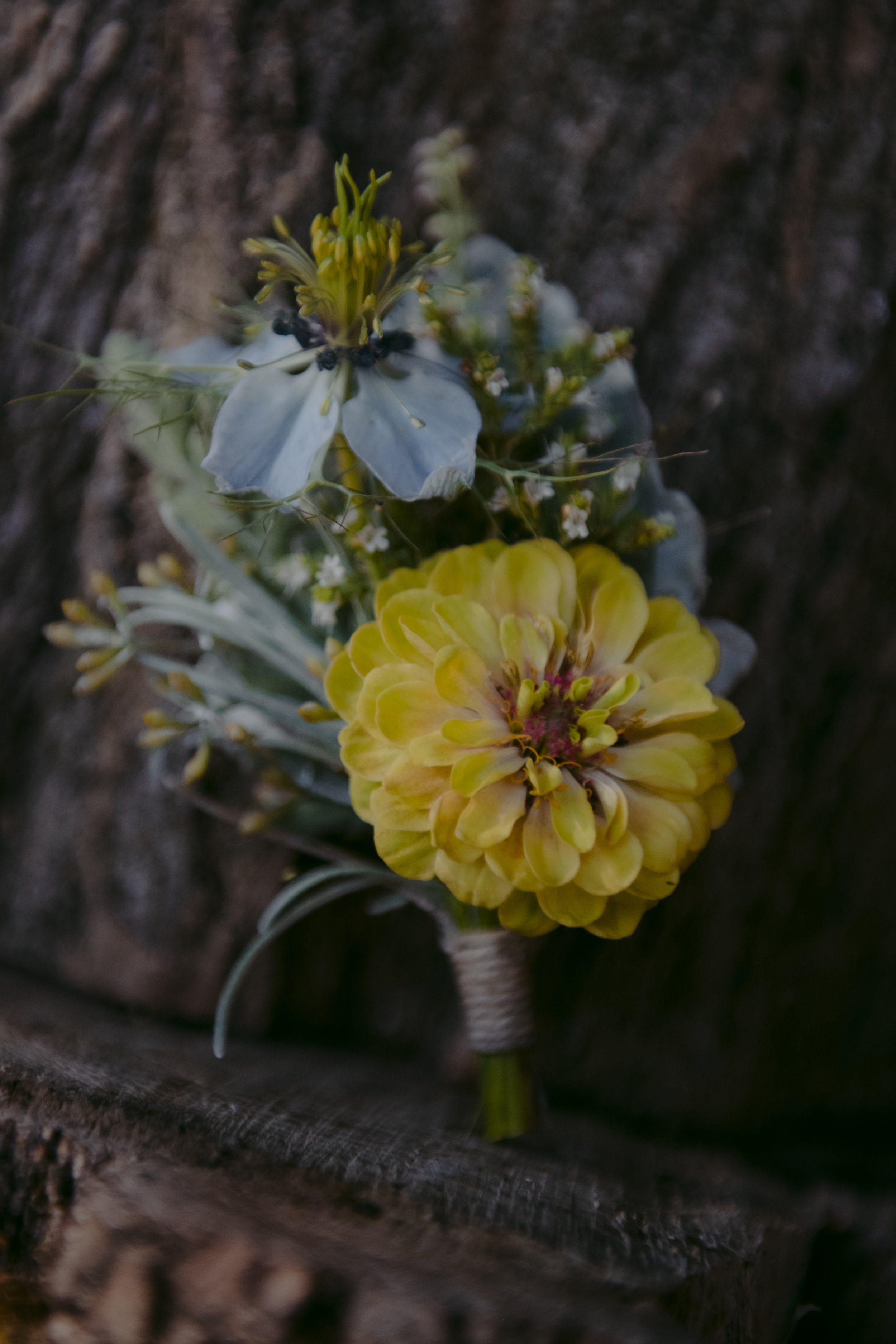 Wedding Bouquets - Bloom Wedding - 2025 - July - 25 - 10.jpg