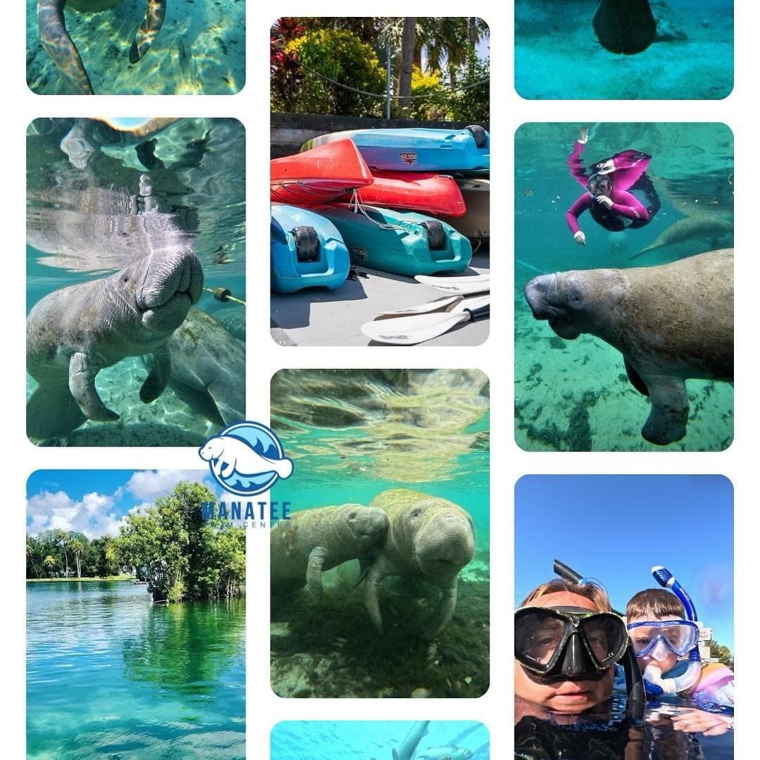 At Manatee Swim Center, we believe in creating unforgettable experiences tailored to you. Choose from a variety of activities including snorkeling, kayaking, sunset tours and wildlife encounters. Whether you&rsquo;re seeking relaxation or adrenaline-