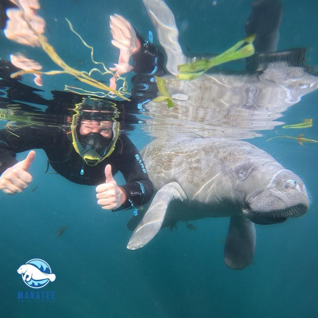 At Manatee Swim Center, we believe that connecting with nature is one of life&rsquo;s greatest joys, and our swim tours provide the perfect opportunity to do just that. So come join us for an unforgettable journey into the world of manatees! Book you