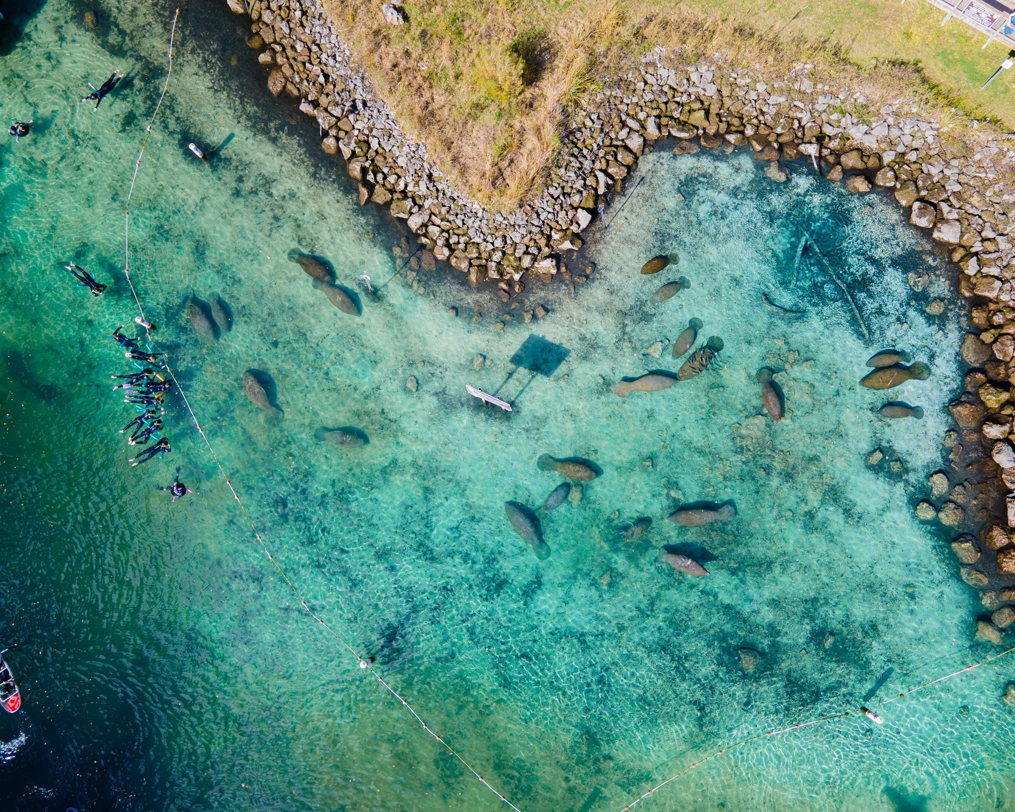 Spring Has Arrived: Why April Is the Perfect Time for a Relaxed Manatee Experience in Crystal River
