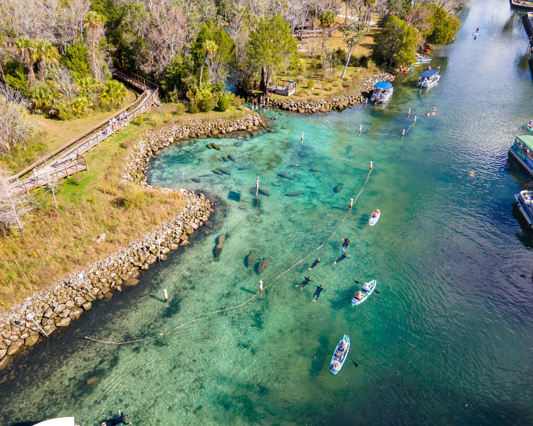 Late Spring in Crystal River: Why April Is the Best Time for a Laid-Back Manatee &amp; Nature Experience